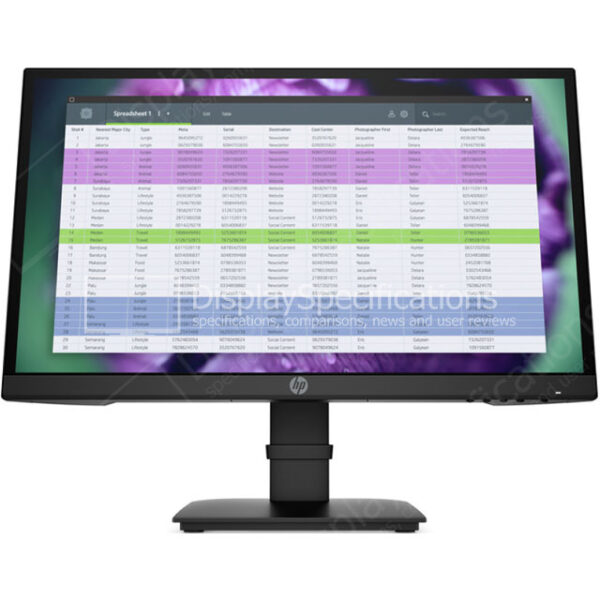 HP P22 G4 - Display Completo