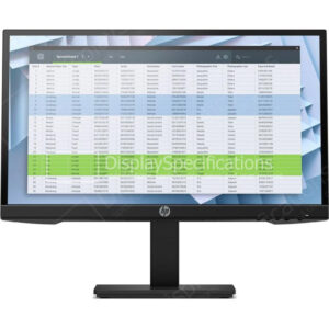 HP P22h G4 - Display Completo